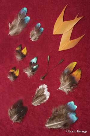 <Impeyan Pheasant feathers - male>