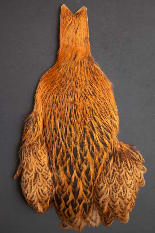 Whiting Brahma Hen | Soft Hackle with Chickabou | Brahma Hen