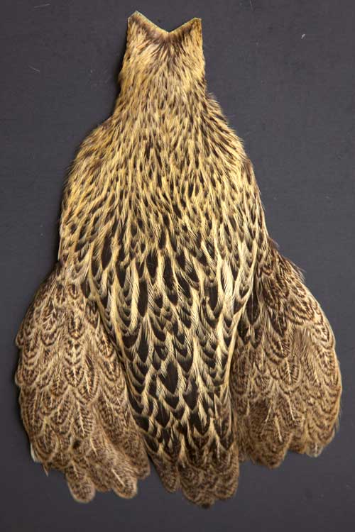 Whiting Brahma Hen | Soft Hackle with Chickabou | Brahma Hen