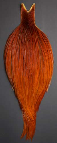 <dry fly saddles>