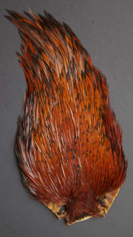 Cou de coq Indien BLANC montage mouche seche fliegen fly tying rooster neck dry 