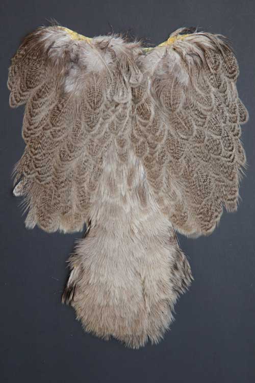 Whiting Brahma Hen | Soft Hackle with Chickabou | Brahma Hen