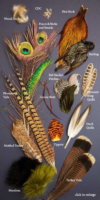 Emu feathers used in fly tying