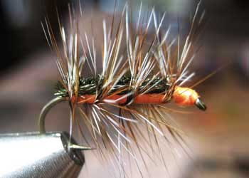 Feathers for tying warmwater flies