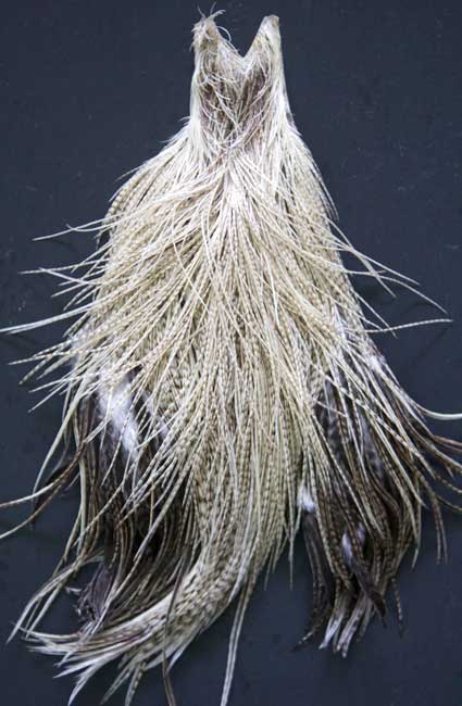 Guinea Hen Feather Saltwater Hackle Fly Tying Material – LeLe Flies