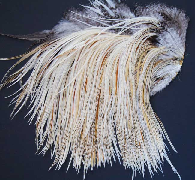 55 WHITING DRY FLY SADDLE FEATHERS for FLY TYING ASST COLORS & SIZES