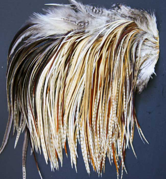 Indian Cock Neck