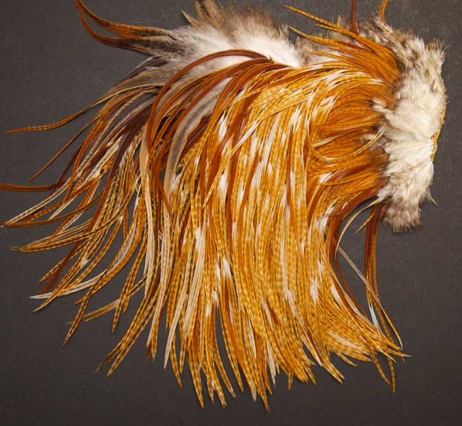 Rooster Hackle Feathers Barred Ginger Calico Black White Orange Hand Selected Lot of 50