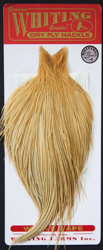 Indian Cock Neck