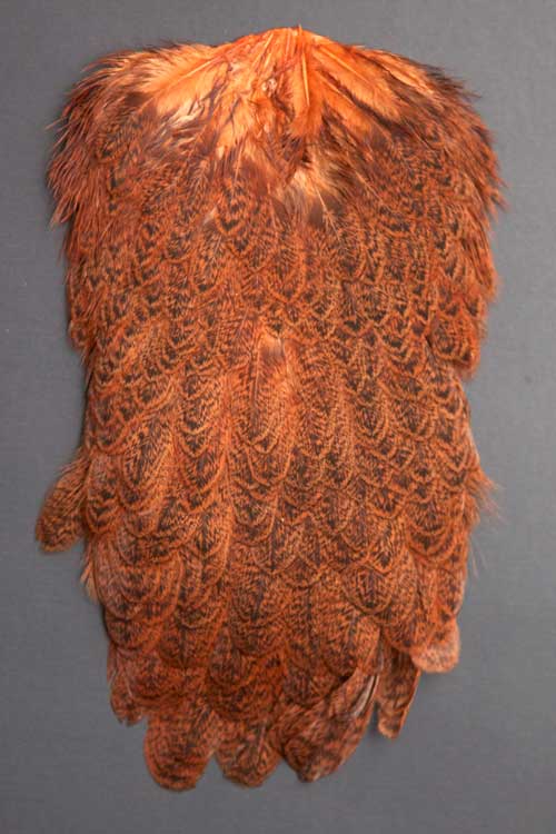 Whiting Brahma Hen | Soft Hackle with Chickabou | Brahma Hen