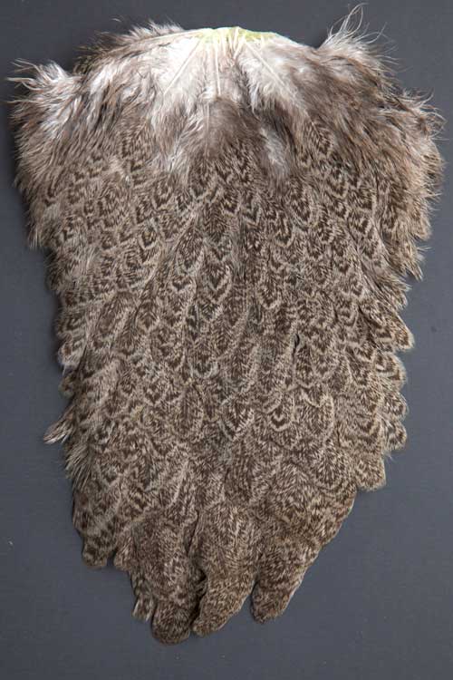 Whiting Brahma Hen | Soft Hackle with Chickabou | Brahma Hen Saddles