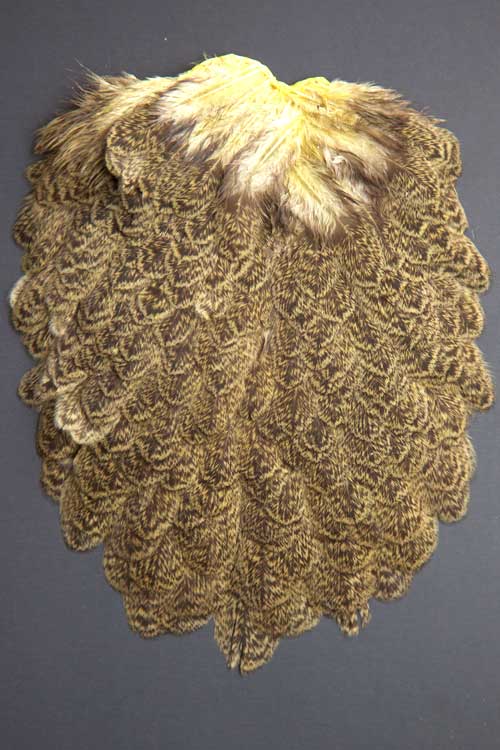 Whiting Brahma Hen | Soft Hackle with Chickabou | Brahma Hen