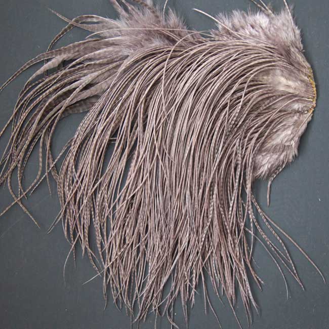 Indian Cock Neck