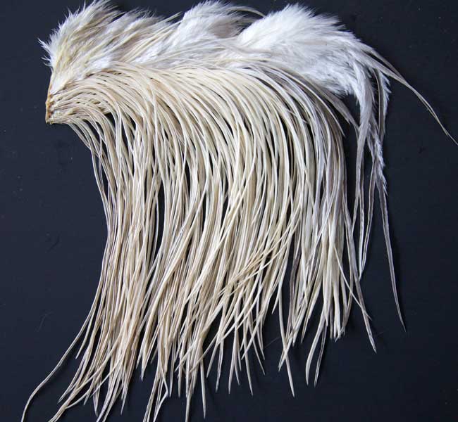 Indian Cock Neck