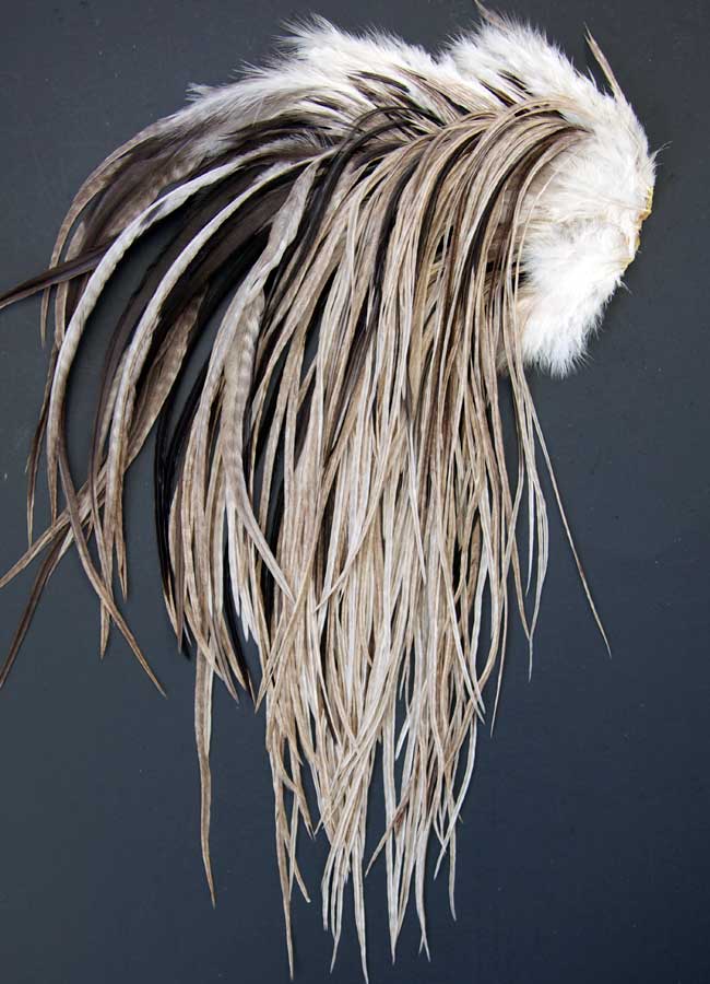 Indian Cock Neck