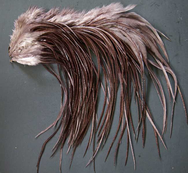 Indian Cock Neck