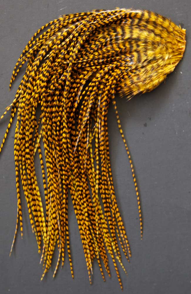 Indian Cock Neck