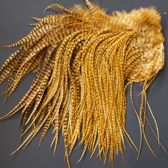 Indian Cock Neck