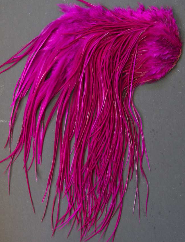 Indian Cock Neck