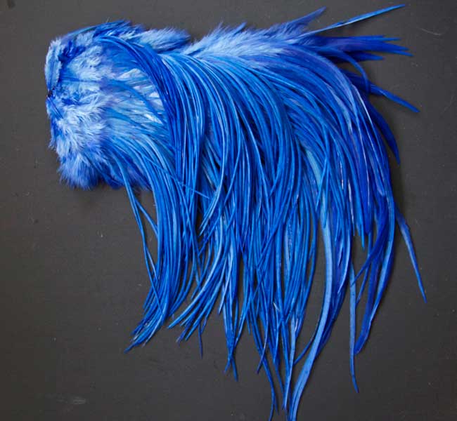 Indian Cock Neck