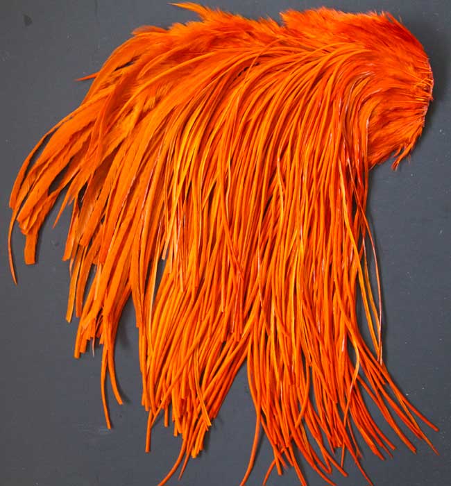 Indian Cock Neck