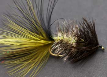 Willow Bug from Brack N Brine with a chartreuse body, black hackle