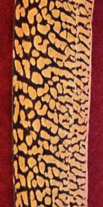 Am-gold tail feathers