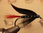 impeyan hen feathers