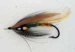 impeyan hen feathers