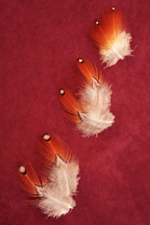 satyr tragopan feathers